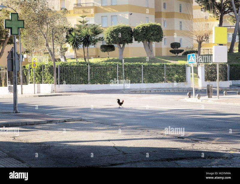 Best chicken road casino in Spain