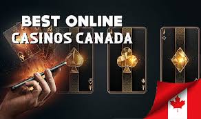 Discover the Best Online Casinos in 2023 Discover the Best Online Casinos in 2023
