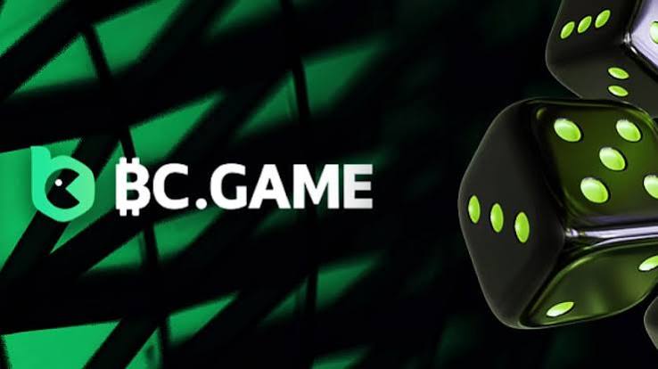 Discover the Thrills of BC.Game Casino A Comprehensive Guide